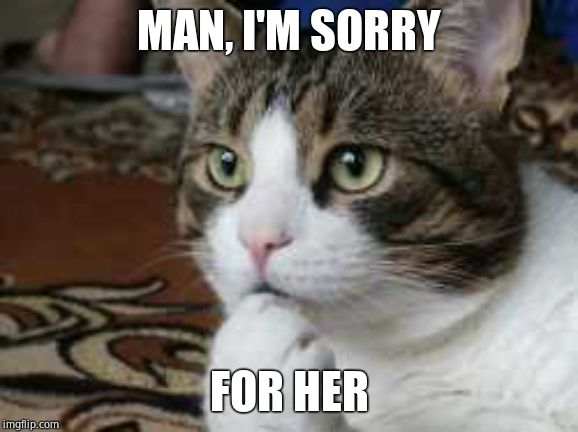 Ponder cat | MAN, I'M SORRY FOR HER | image tagged in ponder cat | made w/ Imgflip meme maker