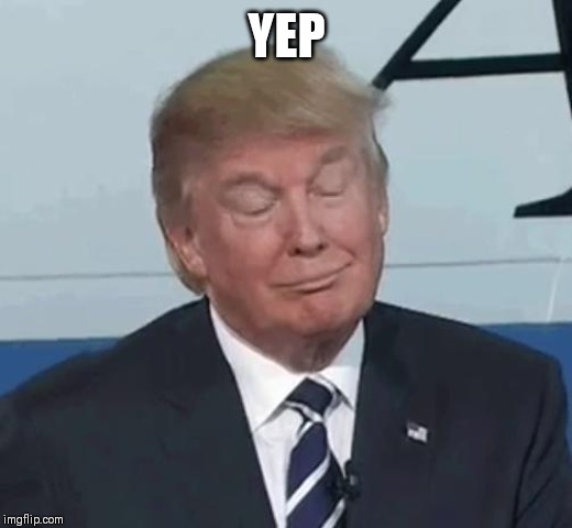 Trump Nod | YEP | image tagged in trump nod | made w/ Imgflip meme maker