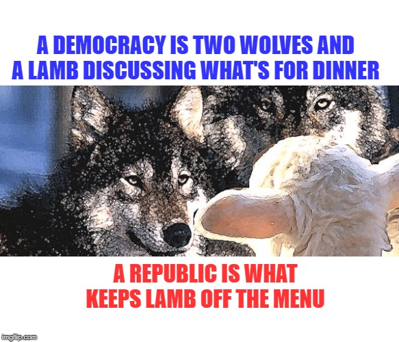 In Simpler Terms, Here's How it Works | A DEMOCRACY IS TWO WOLVES AND A LAMB DISCUSSING WHAT'S FOR DINNER; A REPUBLIC IS WHAT KEEPS LAMB OFF THE MENU | image tagged in two wolves,democracy,republic,lamb,politics,electoral college | made w/ Imgflip meme maker