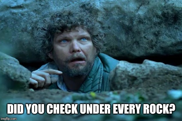Under a Rock | DID YOU CHECK UNDER EVERY ROCK? | image tagged in under a rock | made w/ Imgflip meme maker