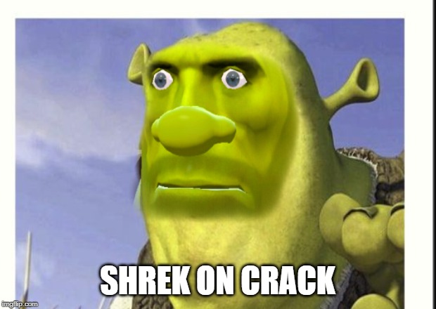 Shrek on crack | SHREK ON CRACK | image tagged in funny | made w/ Imgflip meme maker