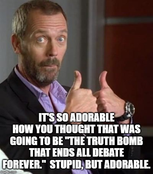 Dr. House | IT'S SO ADORABLE HOW YOU THOUGHT THAT WAS GOING TO BE "THE TRUTH BOMB THAT ENDS ALL DEBATE FOREVER."  STUPID, BUT ADORABLE. | image tagged in dr house | made w/ Imgflip meme maker