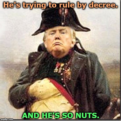 He's trying to rule by decree. AND HE'S SO NUTS. | image tagged in trump,dictator,napoleon,crazy,nuts,insane | made w/ Imgflip meme maker