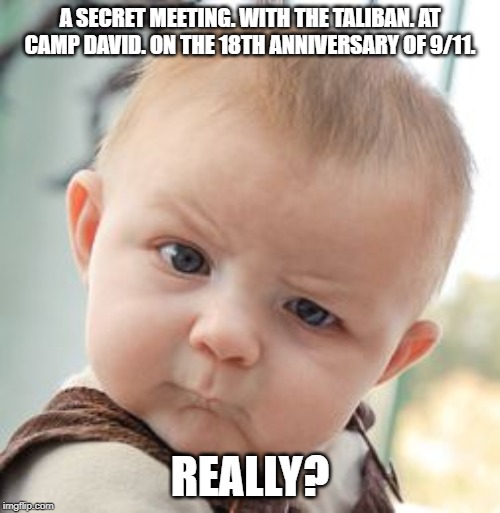 Really? He expects us to believe that? | A SECRET MEETING. WITH THE TALIBAN. AT CAMP DAVID. ON THE 18TH ANNIVERSARY OF 9/11. REALLY? | image tagged in memes,skeptical baby,donald trump is an idiot | made w/ Imgflip meme maker