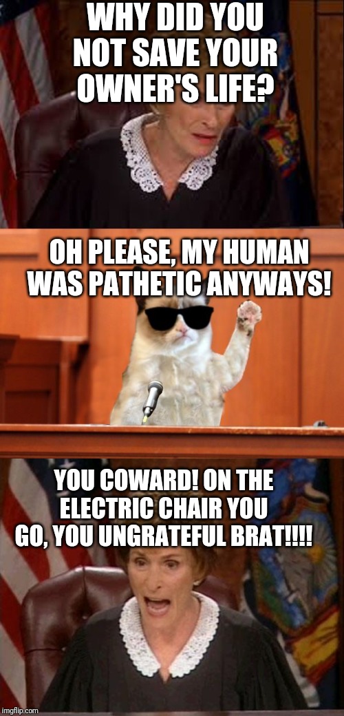 WHY DID YOU NOT SAVE YOUR OWNER'S LIFE? OH PLEASE, MY HUMAN WAS PATHETIC ANYWAYS! YOU COWARD! ON THE ELECTRIC CHAIR YOU GO, YOU UNGRATEFUL BRAT!!!! | image tagged in judge judy,judge judy and the cat | made w/ Imgflip meme maker