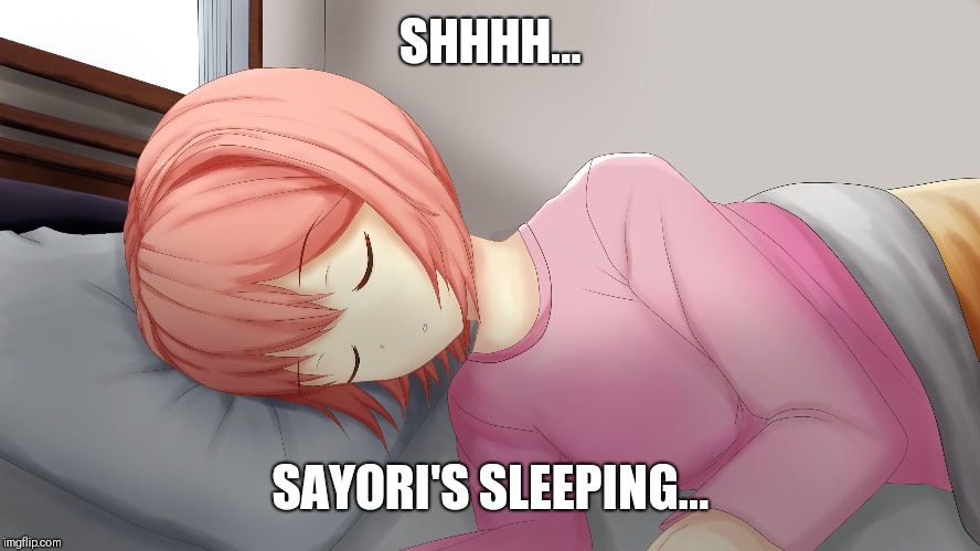 I want Sayori to be as happy as possible, even when she's sleeping.  Besides, i'd rather sleep WITH her than away from her. | SHHHH... SAYORI'S SLEEPING... | image tagged in memes,doki doki literature club | made w/ Imgflip meme maker