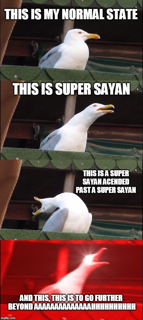 Inhaling Seagull | THIS IS MY NORMAL STATE; THIS IS SUPER SAYAN; THIS IS A SUPER SAYAN ACENDED PAST A SUPER SAYAN; AND THIS, THIS IS TO GO FURTHER  BEYOND AAAAAAAAAAAAAAHHHHHHHHHH | image tagged in memes,inhaling seagull | made w/ Imgflip meme maker