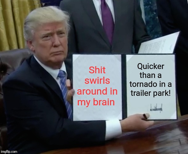 Trump Bill Signing Meme | Shit swirls around in my brain; Quicker than a tornado in a trailer park! | image tagged in memes,trump bill signing,tornado,scumbag republicans | made w/ Imgflip meme maker