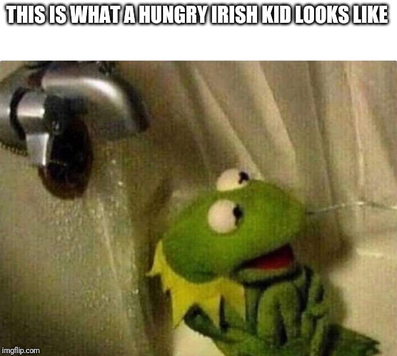 Kermit the frog | THIS IS WHAT A HUNGRY IRISH KID LOOKS LIKE | image tagged in kermit the frog | made w/ Imgflip meme maker