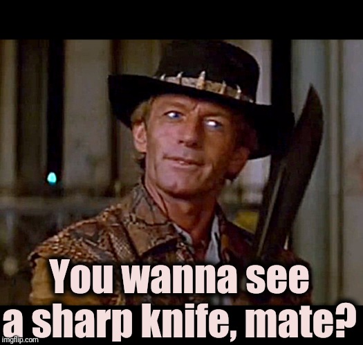 Crocodile Dundee Knife | You wanna see a sharp knife, mate? | image tagged in crocodile dundee knife | made w/ Imgflip meme maker