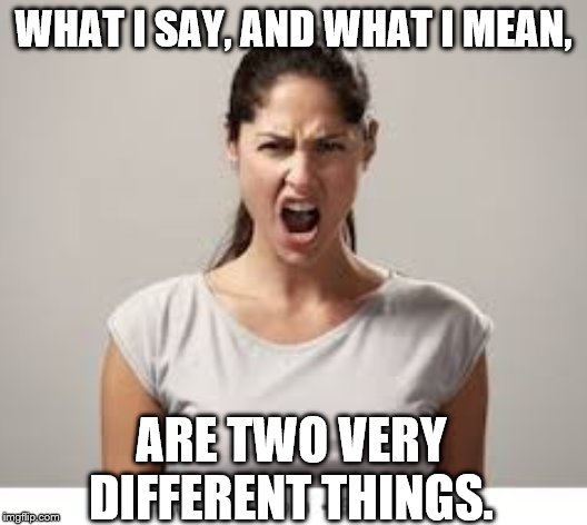 WHAT I SAY, AND WHAT I MEAN, ARE TWO VERY DIFFERENT THINGS. | image tagged in angry lady | made w/ Imgflip meme maker