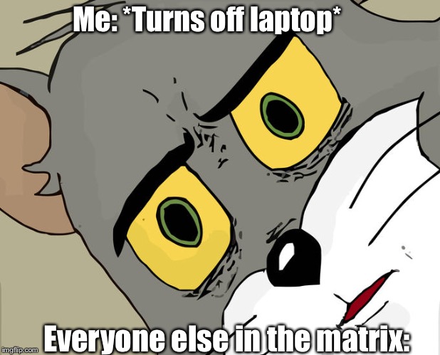 Unsettled Tom Meme | Me: *Turns off laptop*; Everyone else in the matrix: | image tagged in memes,unsettled tom | made w/ Imgflip meme maker