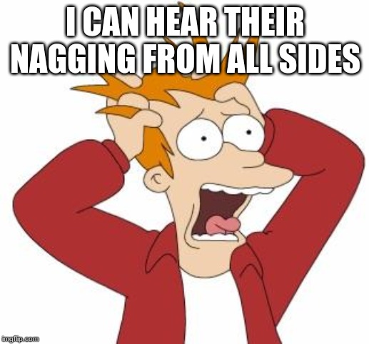 Fry Freaking Out | I CAN HEAR THEIR NAGGING FROM ALL SIDES | image tagged in fry freaking out | made w/ Imgflip meme maker