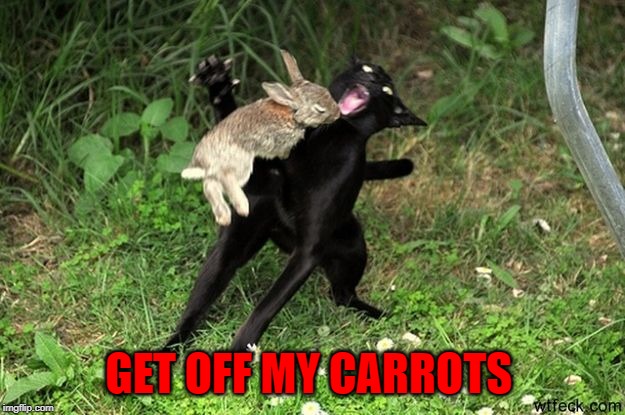 GET OFF MY CARROTS | made w/ Imgflip meme maker