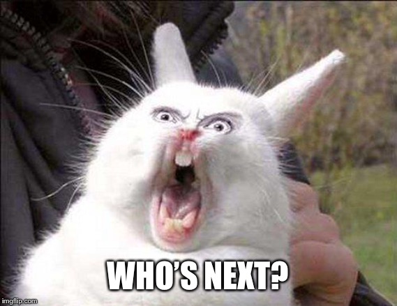 rabbit_face_right | WHO’S NEXT? | image tagged in rabbit_face_right | made w/ Imgflip meme maker