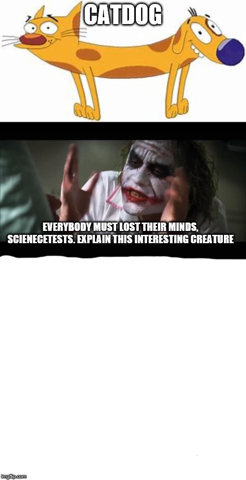 Explain this Interesting creature | CATDOG; EVERYBODY MUST LOST THEIR MINDS, SCIENECETESTS. EXPLAIN THIS INTERESTING CREATURE | image tagged in memes,and everybody loses their minds,catdog,nickelodeon,science | made w/ Imgflip meme maker