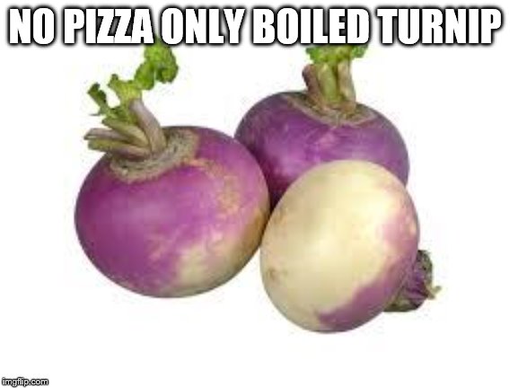 Turnip | NO PIZZA ONLY BOILED TURNIP | image tagged in turnip | made w/ Imgflip meme maker