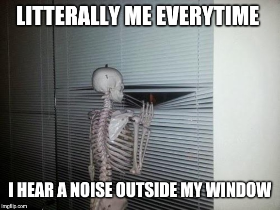 Skeleton Looking Out Window | LITTERALLY ME EVERYTIME; I HEAR A NOISE OUTSIDE MY WINDOW | image tagged in skeleton looking out window | made w/ Imgflip meme maker