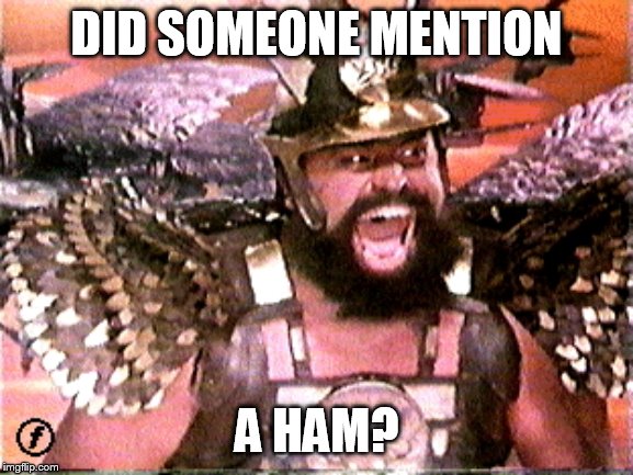 Brian Blessed | DID SOMEONE MENTION; A HAM? | image tagged in brian blessed | made w/ Imgflip meme maker