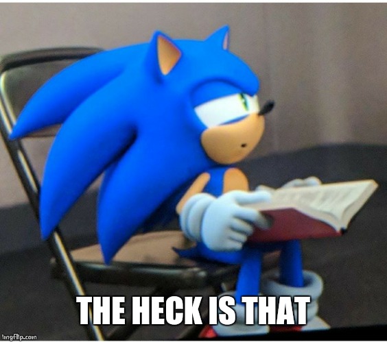 Sonic | THE HECK IS THAT | image tagged in sonic | made w/ Imgflip meme maker