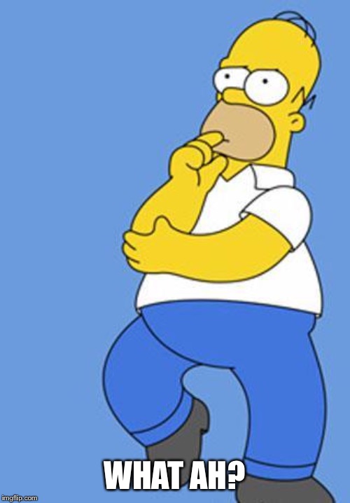 Homer Simpson Thinking | WHAT AH? | image tagged in homer simpson thinking | made w/ Imgflip meme maker