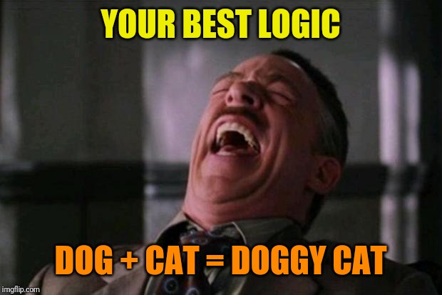 ha ha ha ha  | YOUR BEST LOGIC DOG + CAT = DOGGY CAT | image tagged in ha ha ha ha | made w/ Imgflip meme maker
