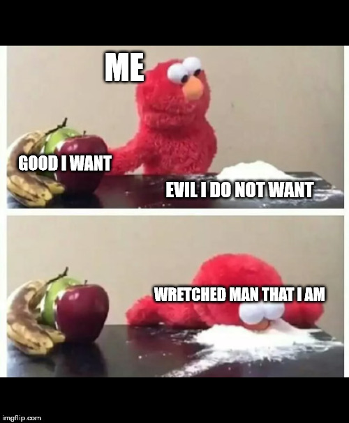 elmo | ME; GOOD I WANT; EVIL I DO NOT WANT; WRETCHED MAN THAT I AM | image tagged in elmo,christian,bible,paul,romans723,faith | made w/ Imgflip meme maker