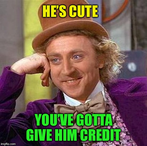 Creepy Condescending Wonka Meme | HE’S CUTE YOU’VE GOTTA GIVE HIM CREDIT | image tagged in memes,creepy condescending wonka | made w/ Imgflip meme maker