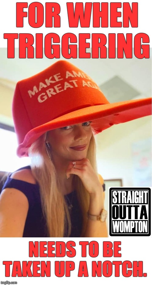 Only on the right will you find both brains & beauty. | FOR WHEN TRIGGERING; NEEDS TO BE TAKEN UP A NOTCH. | image tagged in maga,blank red maga hat,donald trump approves,triggered liberal,make america great again | made w/ Imgflip meme maker