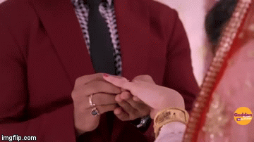 image tagged in gifs | made w/ Imgflip video-to-gif maker