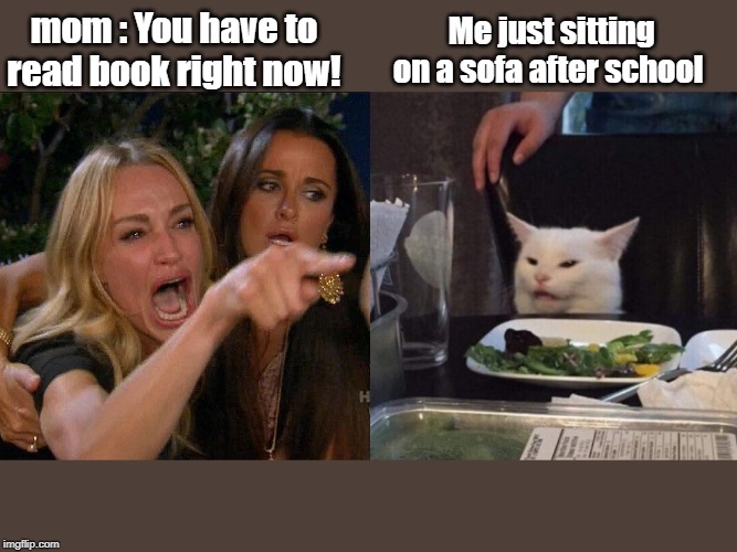 Woman yelling at cat |  Me just sitting on a sofa after school; mom : You have to read book right now! | image tagged in woman yelling at cat | made w/ Imgflip meme maker