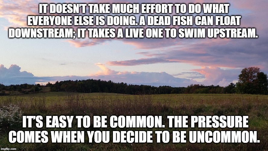 Make a difference |  IT DOESN’T TAKE MUCH EFFORT TO DO WHAT EVERYONE ELSE IS DOING. A DEAD FISH CAN FLOAT DOWNSTREAM; IT TAKES A LIVE ONE TO SWIM UPSTREAM. IT’S EASY TO BE COMMON. THE PRESSURE COMES WHEN YOU DECIDE TO BE UNCOMMON. | image tagged in memes,how tough are ya | made w/ Imgflip meme maker