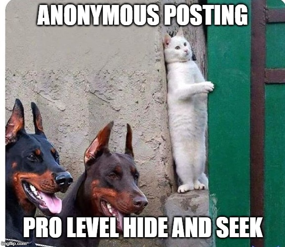 Hidden cat | ANONYMOUS POSTING; PRO LEVEL HIDE AND SEEK | image tagged in hidden cat | made w/ Imgflip meme maker