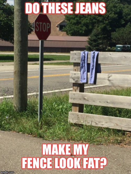 Jean therapy | DO THESE JEANS; MAKE MY FENCE LOOK FAT? | image tagged in funny memes,jeans,stop sign | made w/ Imgflip meme maker