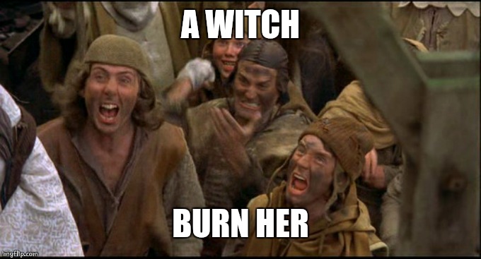 Monty Python witch | A WITCH BURN HER | image tagged in monty python witch | made w/ Imgflip meme maker