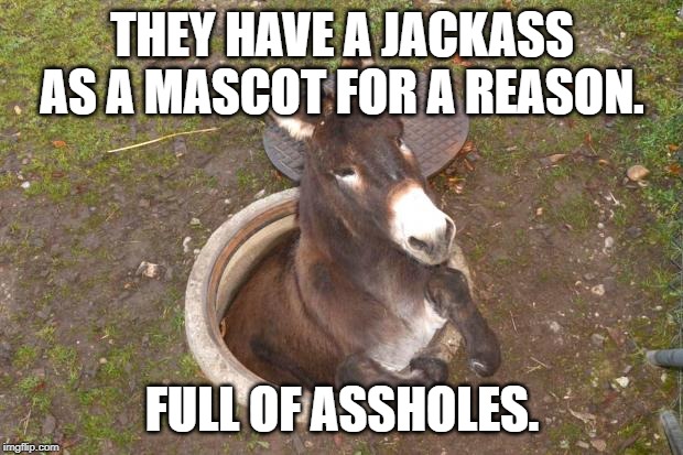 Asshole | THEY HAVE A JACKASS AS A MASCOT FOR A REASON. FULL OF ASSHOLES. | image tagged in asshole | made w/ Imgflip meme maker