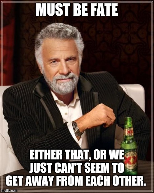 Crosses patches with random stranger again | MUST BE FATE; EITHER THAT, OR WE JUST CAN'T SEEM TO GET AWAY FROM EACH OTHER. | image tagged in memes,the most interesting man in the world | made w/ Imgflip meme maker