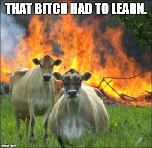 Evil Cows Meme | THAT B**CH HAD TO LEARN. | image tagged in memes,evil cows | made w/ Imgflip meme maker