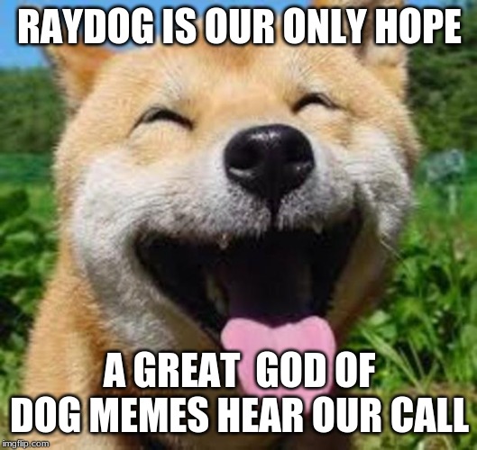 Happy Doge | RAYDOG IS OUR ONLY HOPE A GREAT  GOD OF DOG MEMES HEAR OUR CALL | image tagged in happy doge | made w/ Imgflip meme maker