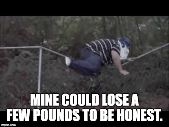 MINE COULD LOSE A FEW POUNDS TO BE HONEST. | made w/ Imgflip meme maker