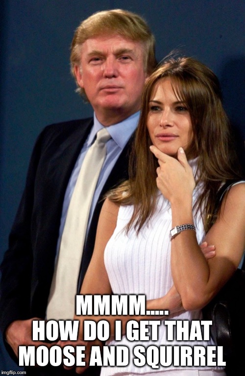 MMMM.....
HOW DO I GET THAT MOOSE AND SQUIRREL | image tagged in melania trump | made w/ Imgflip meme maker