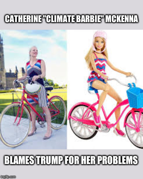 Environment Minister Catherine McKenna | CATHERINE "CLIMATE BARBIE" MCKENNA; BLAMES TRUMP FOR HER PROBLEMS | image tagged in catherine mckenna,canadian politics,climate barbie,trump,political meme | made w/ Imgflip meme maker