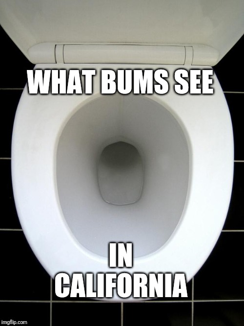 TOILET | WHAT BUMS SEE; IN CALIFORNIA | image tagged in toilet | made w/ Imgflip meme maker