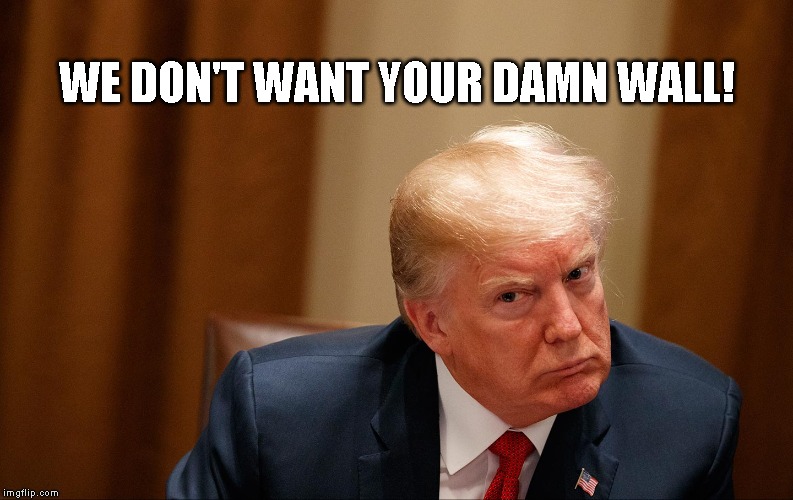 SENATE REPUBLICANS NEED TO CONTROL THIS CRIMINAL, LYING PRESIDENT - A SOLE SOURCE CONTRACT FOR TRUMP'S FRIEND IS ILLEGAL | WE DON'T WANT YOUR DAMN WALL! | image tagged in donald trump is an idiot,trump is a moron,trump is an asshole,trump is a douche bag,impeach trump | made w/ Imgflip meme maker