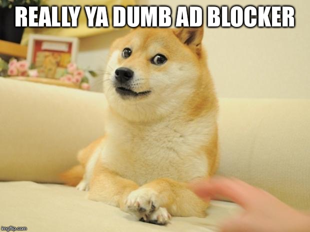 Doge 2 Meme | REALLY YA DUMB AD BLOCKER | image tagged in memes,doge 2 | made w/ Imgflip meme maker