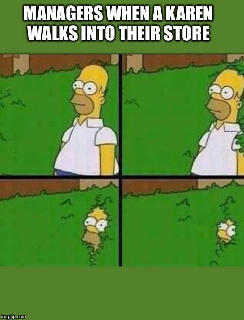 Homer Simpson in Bush - Large |  MANAGERS WHEN A KAREN WALKS INTO THEIR STORE | image tagged in homer simpson in bush - large | made w/ Imgflip meme maker