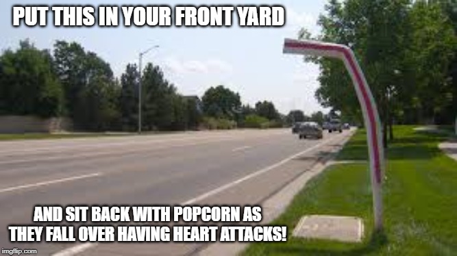 PUT THIS IN YOUR FRONT YARD; AND SIT BACK WITH POPCORN AS THEY FALL OVER HAVING HEART ATTACKS! | made w/ Imgflip meme maker