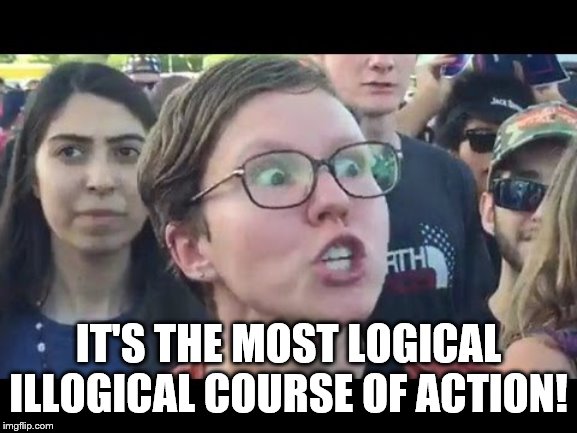 Angry sjw | IT'S THE MOST LOGICAL ILLOGICAL COURSE OF ACTION! | image tagged in angry sjw | made w/ Imgflip meme maker