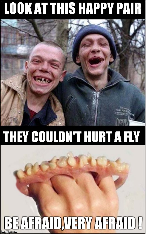 Ultimate 'Dental Bridgework' | LOOK AT THIS HAPPY PAIR; THEY COULDN'T HURT A FLY; BE AFRAID,VERY AFRAID ! | image tagged in fun,no teeth,dentist | made w/ Imgflip meme maker