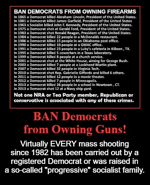 Ban Democrats from Owning Firearms | image tagged in liberalism,mental illness,gun control,2nd amendment,self defense,gun rights | made w/ Imgflip meme maker